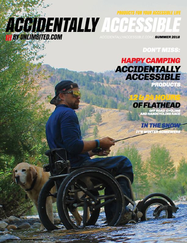 David Poole - Accidentally Accessible cover